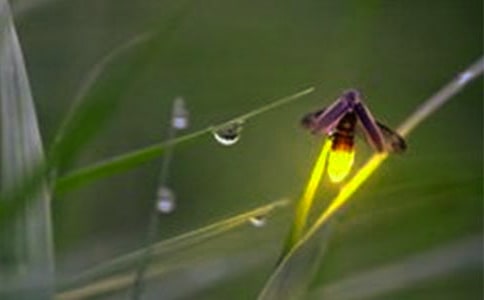 Ξ���x���ġ���(y��u)��14ƪ��