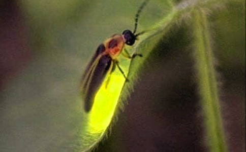 Ξ���x������\