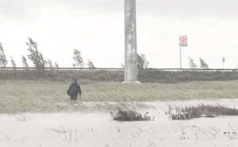 ���＼�g(sh��)����(w��)�(xi��ng)Ŀ��(j��ng)����K����(b��o)�淶�ģ����x10ƪ��