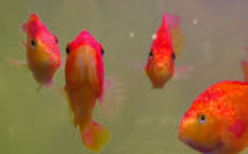 СС�~��W(xu��)��(w��n)������