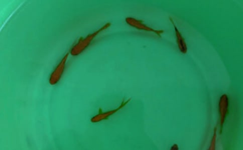 �~�������Ӳ߄���