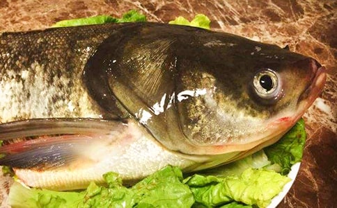 �罷�~�^��ʳ����