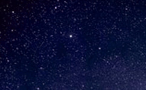 ������(zh��n)����