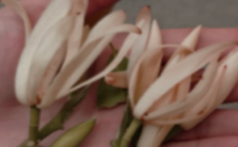 �茑���m����(y��u)���İ������x100�䣩