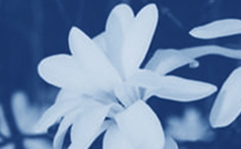 ���m������15ƪ�����A��