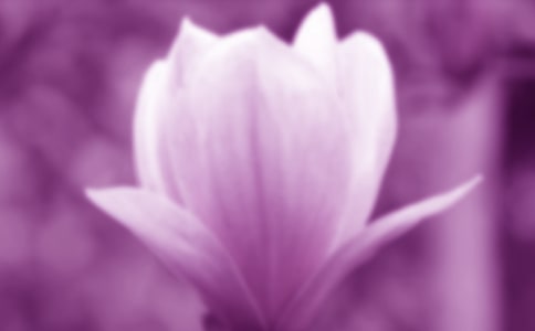 �茑���m����Ԋ�~���x