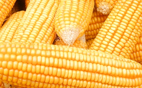 ����ُ(g��u)�N�����f(xi��)�h��ͨ��