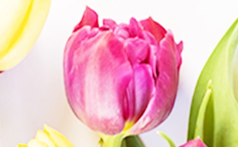 �p����������