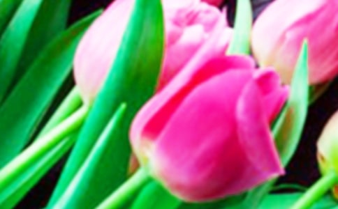 ����������������15ƪ�����T(m��n)��
