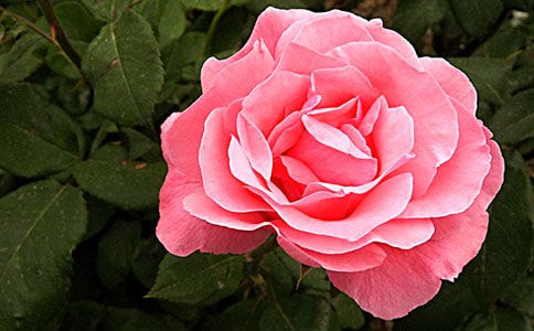 �Ҽҵ��¼�����