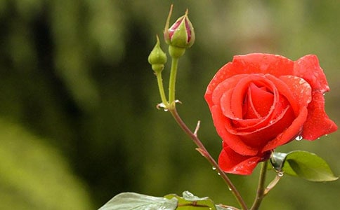 ��������־����䛾��x