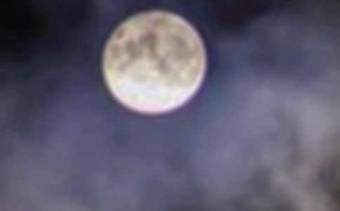 (��(y��u)�x)�A֮������