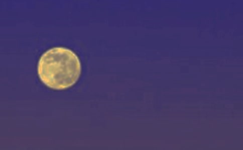 �A֮ҹ���ģ����x43ƪ��