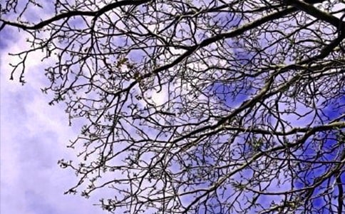 �����á�2025��ÿ��һ���簲�����Z�R��63��