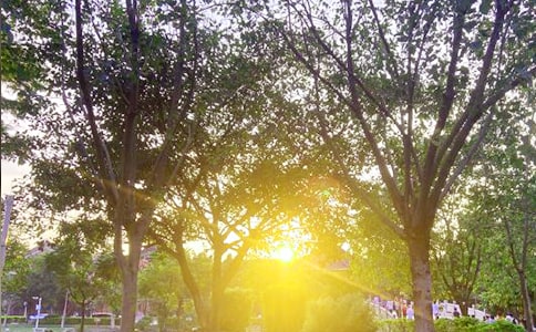 通用美好的早安朋友圈祝福語集錦51句