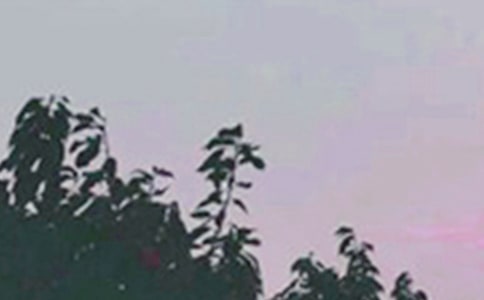 �m�����ϰl(f��)���簲���Z(y��)