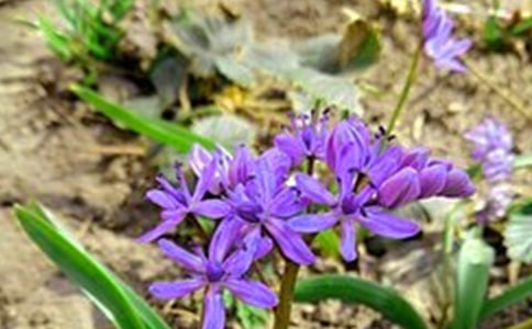 �����T��2026��Ψ�����簲�����Z���ż���48�l