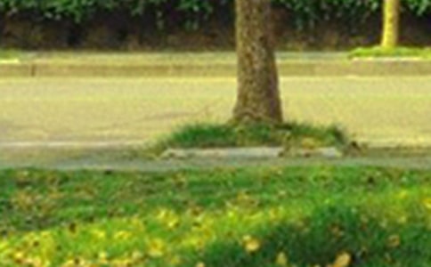 ��(ji��n)��Ψ���簲�İ�80�侫�x