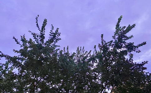 ��(sh��)�õ�ף��������簲����Ȧ�����Z�ϼ�52�l