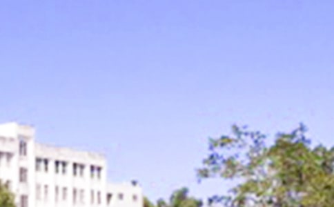 �簲�Z(y��)��(l��)־����