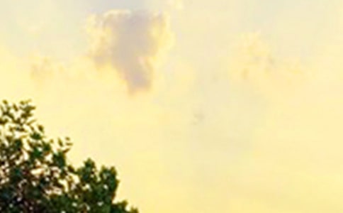 �簲�����Z40��