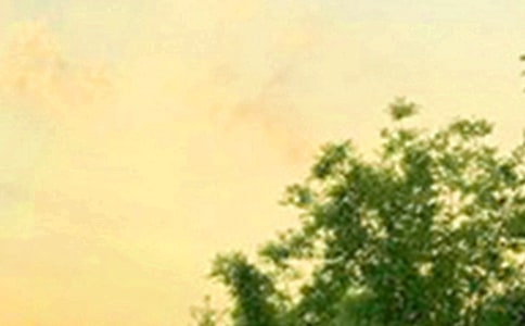 ���ε�Ψ�����簲�����Z48�l