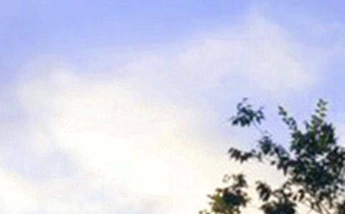 �������簲���ӅR��55�侫�x