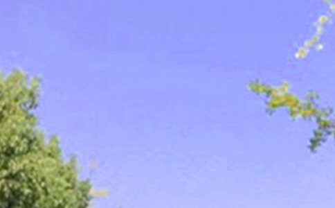 �m�����ϰl(f��)���簲�����Z����