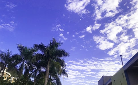 有關溫暖的早安問候語匯總65句