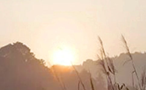 ���εă�(y��u)�����簲�����Z�Z䛺ϼ�45�l