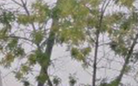 2023�곣�����õ��簲����Ȧף���Z�R��46��