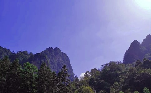 ���ҽ�֮������[�R��15ƪ]