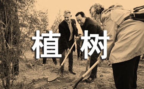 ������ֲ�俴�D��Ԓ����36ƪ