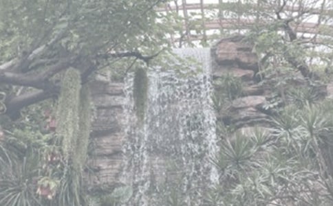�P(gu��n)�����uֲ��@�Č�(d��o)���~