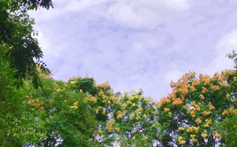 ���熖���Z��ܰ�����x180�䣩