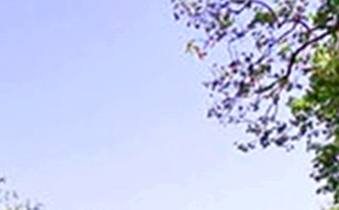 ���熖���Z��ͨ��105�䣩