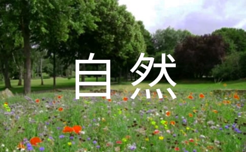 ������Ȼ�����֡��̺�˼