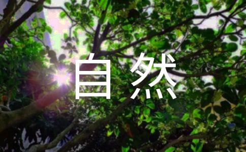 ����Ȼ���e������