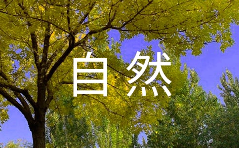 2017���¸�һ��������ɢ�ģ���Ȼ֮��