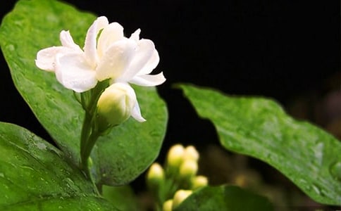 ����������9ƪ(���A)