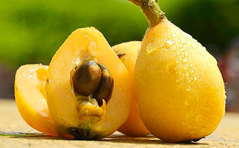 ��ֲ����ӛ�����S�P