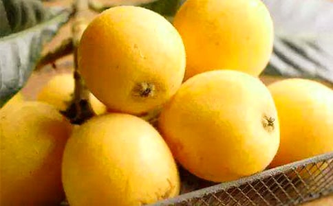 ժ�������Ĵ�ȫ(15ƪ)