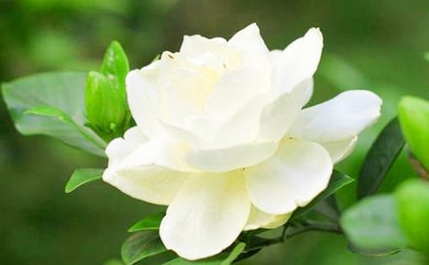�d�ӻ��_���ľ�Ʒ��13ƪ��