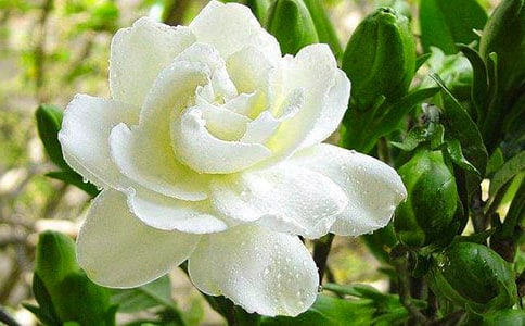 �d�ӻ�ٝ������