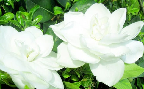 ĸ�H�Ƕ�d�ӻ�-��������