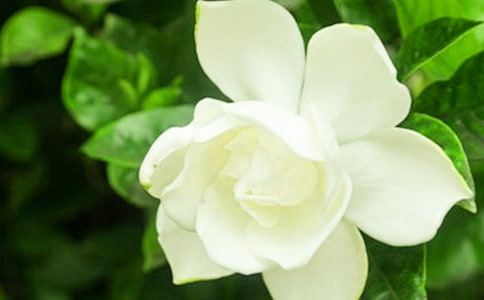 �������d�ӻ��_����
