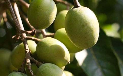 �ϙ���Ӗ(x��n)�����Y(ji��)�����x12ƪ��
