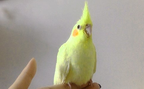 �Ҽҵ��W�^���Ľ�(j��ng)��[15ƪ]