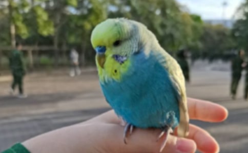 ���Ŀ����W�^��Ϧ����ꖼ�Դ��ةԭ�ķ��g���p��