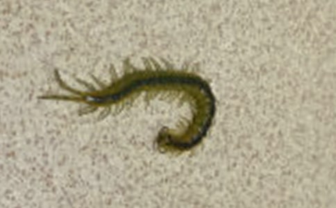 �ְֱ����ҧ�����꼉����